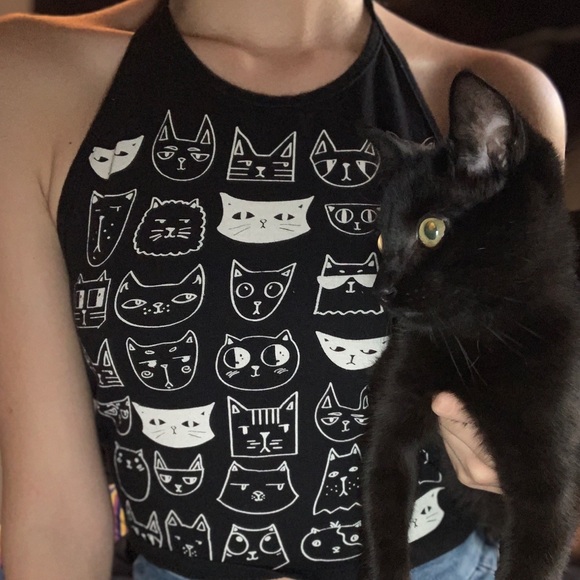 𝙾𝙿𝙴𝙽 𝙱𝙰𝙲𝙺 𝙲𝙰𝚃 𝙷𝙰𝙻𝚃𝙴𝚁 𝚃𝙾𝙿 - Picture 3 of 5